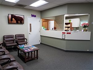 office